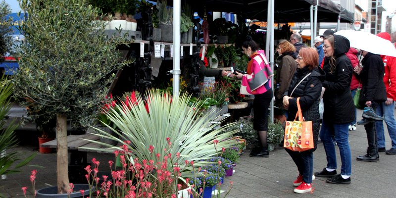 Dormagen: Wieder eine Attraktion beim Ostermarkt: der holländische Blumentruck